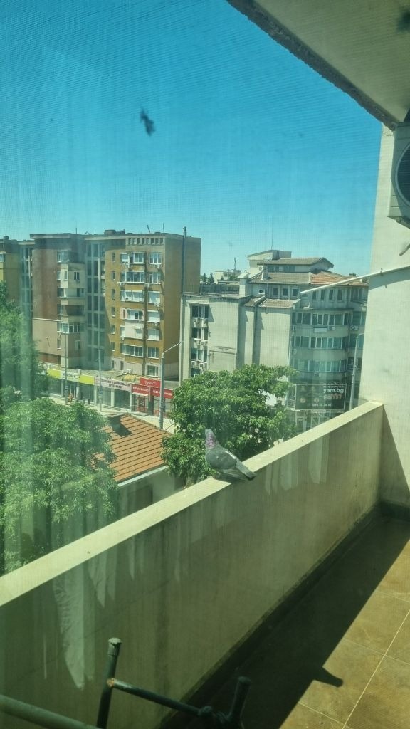 Προς πώληση  3 υπνοδωμάτια Σταρα Ζαγορα , ΤΣενταρ , 90 τ.μ | 33160693 - εικόνα [9]