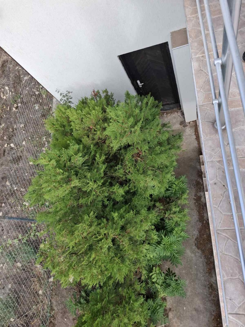 Te koop  Huis regio Varna , Dobrogled , 400 m² | 59676254 - afbeelding [16]