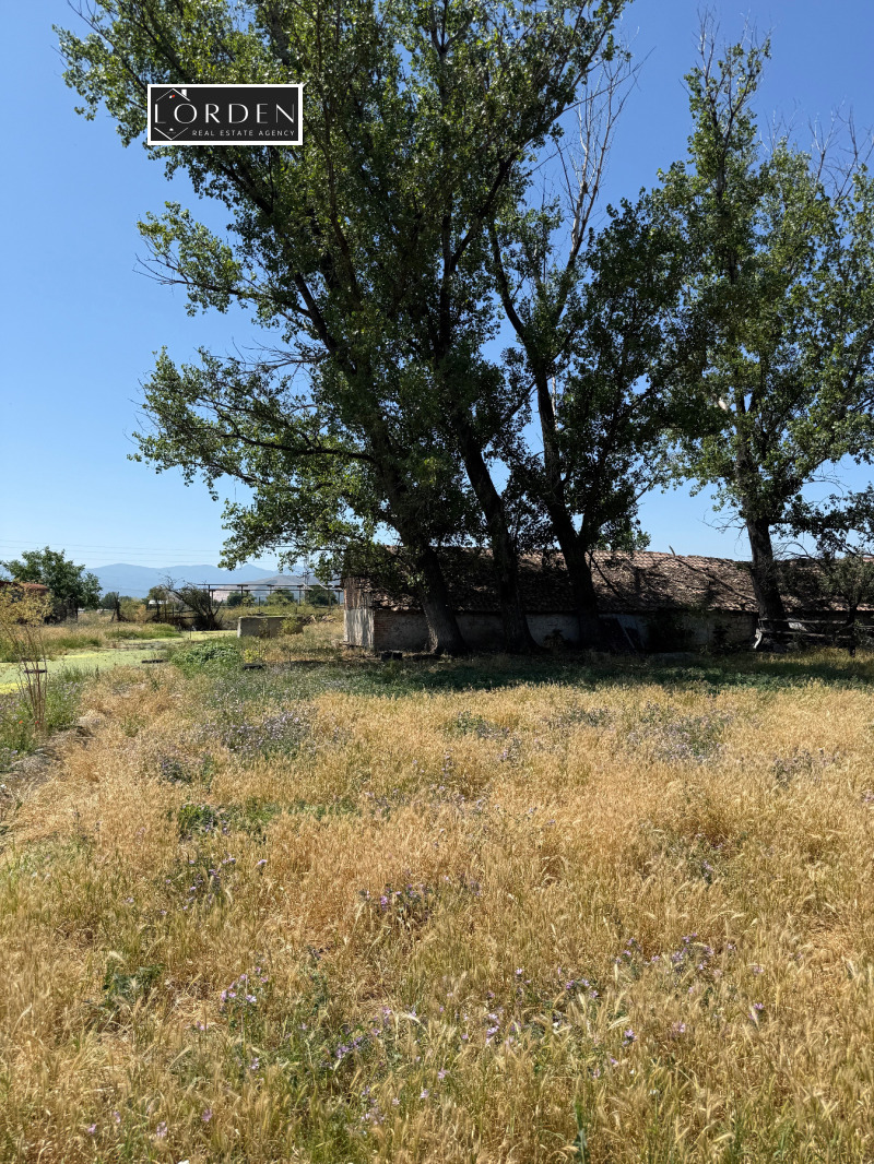 Продава СКЛАД, с. Мало Конаре, област Пазарджик, снимка 5 - Складове - 53497668