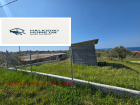 ����� ������� ������,���������, ������