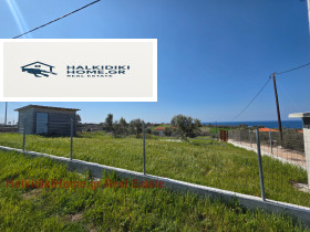 ����� ������� ������,���������, ������