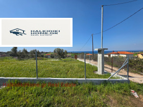 ����� ������� ������,���������, ������