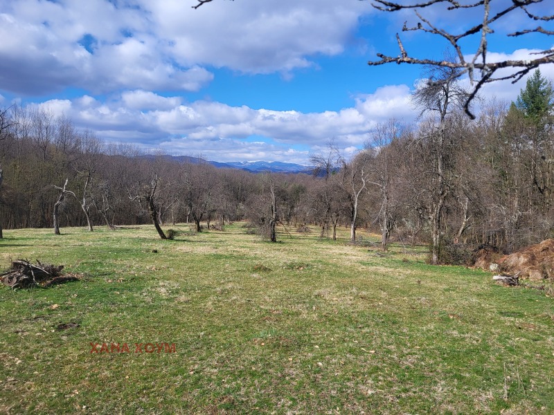 For Sale  Plot region Lovech , Troyan , 15186 sq.m | 33570644 - image [4]