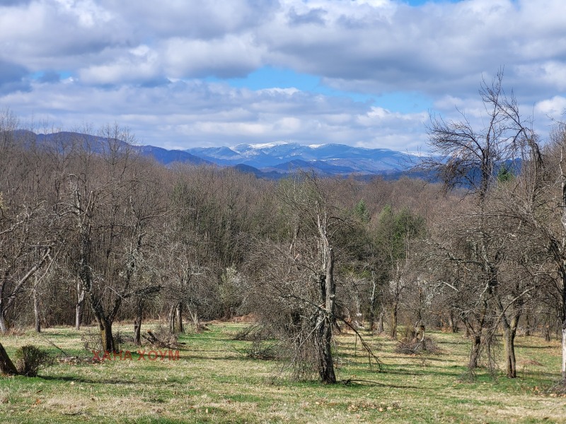 For Sale  Plot region Lovech , Troyan , 15186 sq.m | 33570644 - image [7]