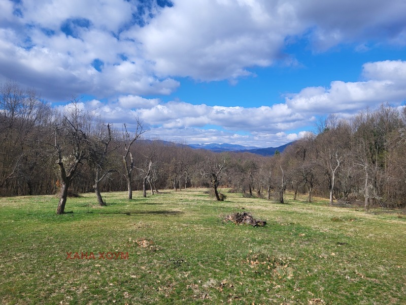 For Sale  Plot region Lovech , Troyan , 15186 sq.m | 33570644 - image [2]