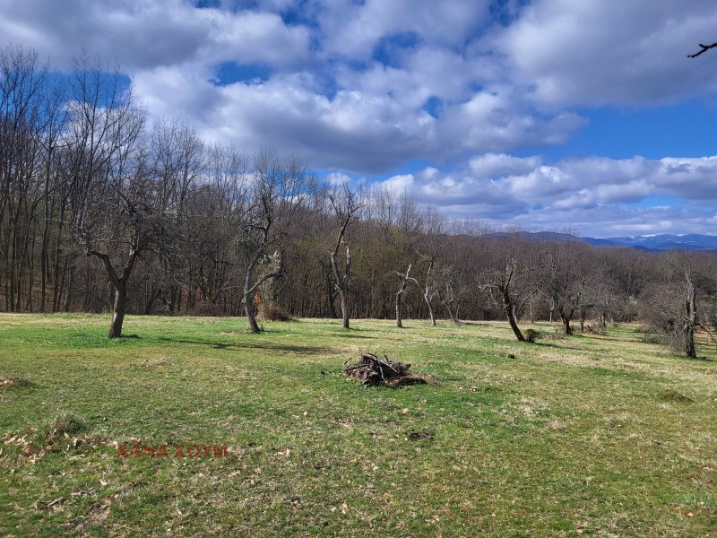 For Sale  Plot region Lovech , Troyan , 15186 sq.m | 33570644 - image [3]