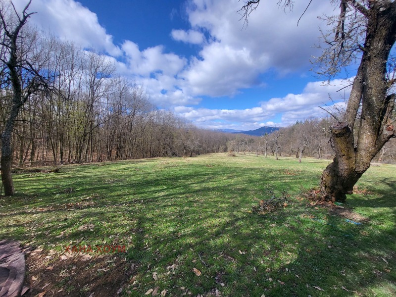 For Sale  Plot region Lovech , Troyan , 15186 sq.m | 33570644 - image [5]