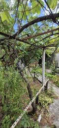 Продава КЪЩА, област Варна, с. Аспарухово • 74999 € • 94597436 — Holmes.bg