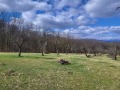 Продава ПАРЦЕЛ, област Ловеч, гр. Троян • 95000 € • 17335966 — Holmes.bg