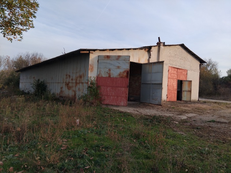Продава ПРОМ. ПОМЕЩЕНИЕ, с. Писанец, област Русе, снимка 2 - Производствени сгради - 52143256