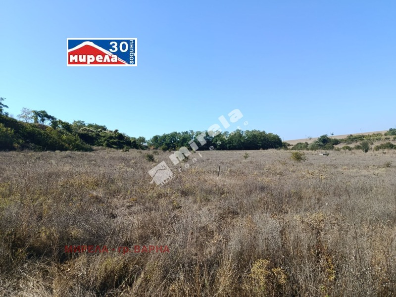 De vânzare  Complot regiunea Varna , Cumanovo , 2562 mp | 48388513 - imagine [2]