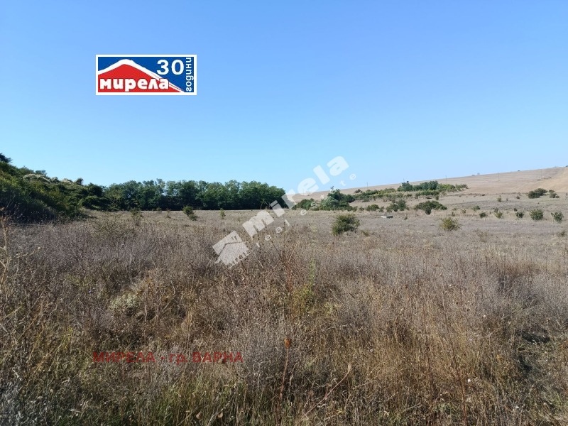 De vânzare  Complot regiunea Varna , Cumanovo , 2562 mp | 48388513 - imagine [3]