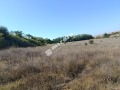 Продава ПАРЦЕЛ, област Варна, с. Куманово • 51240 € • 65395998 — Holmes.bg