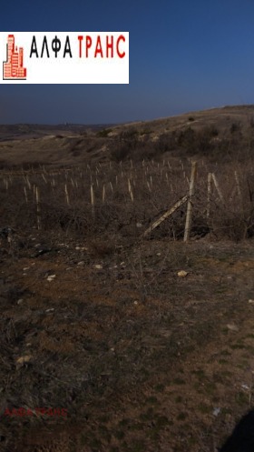 Land Piperitsa, region Blagoevgrad 14