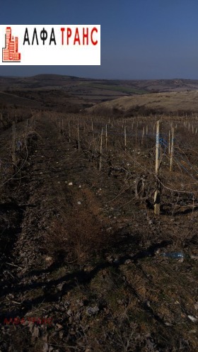 Γη Πηπερητσα, περιοχή Μπλαγκόεβγκραντ 13