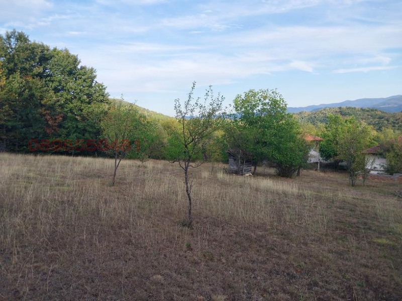 Продава КЪЩА, с. Кръвеник, област Габрово, снимка 8 - Къщи - 52784375