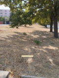 Продава ПАРЦЕЛ, с. Минерални бани, област Хасково, снимка 2