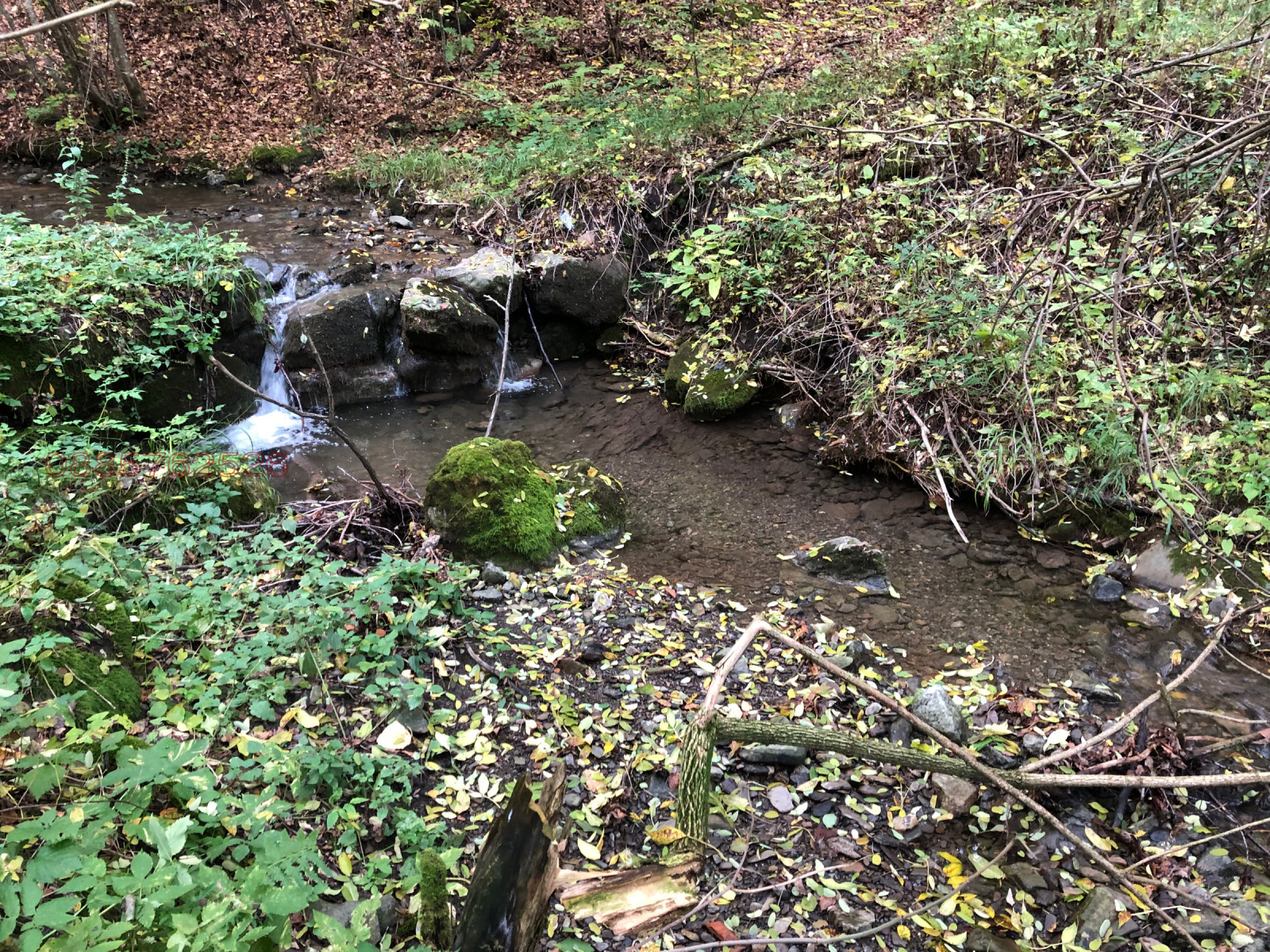 Продава КЪЩА | Imot.bg — изображение 2