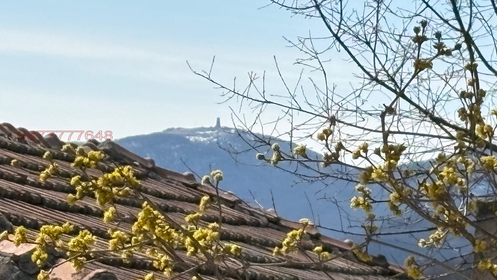 ������� ���� | Imot.bg � ����������� 9