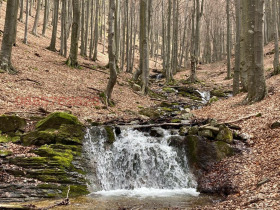 ����� ������� ����,��. ������, ������ �������