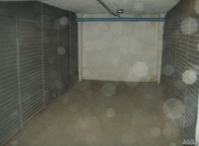 ����� ������� �����,���� �������, ������