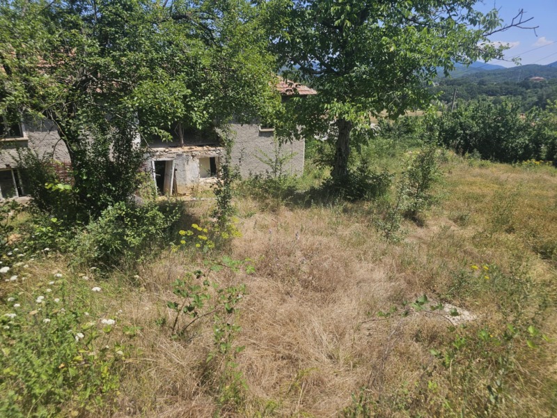 Продава  Къща област Кърджали , с. Дружинци , 79 кв.м | 53472715 - изображение [4]