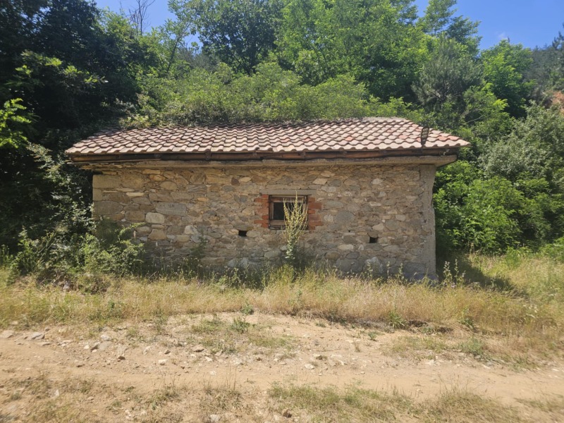 Продава  Къща област Кърджали , с. Дружинци , 79 кв.м | 53472715 - изображение [6]