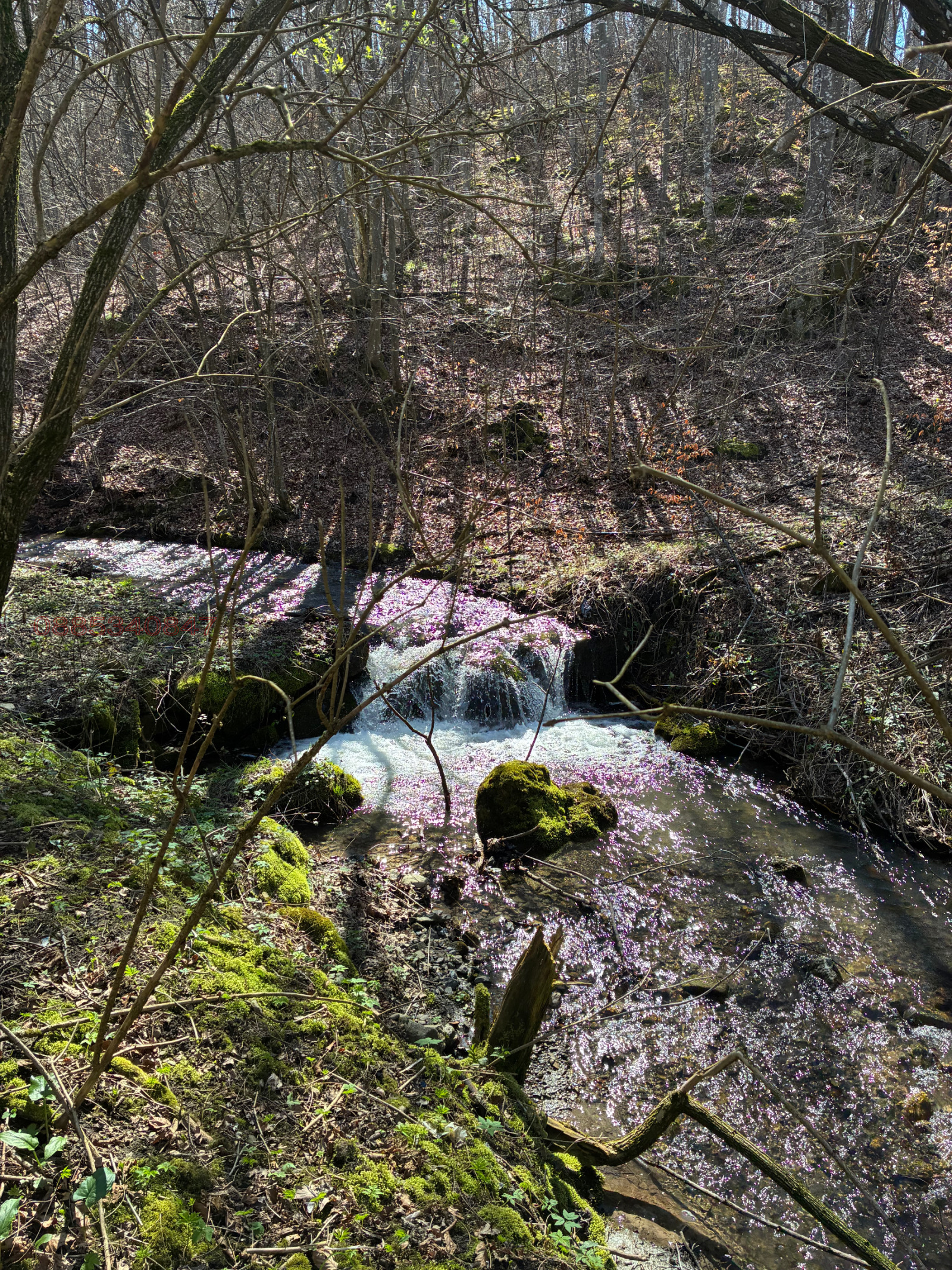 Продава КЪЩА, гр. Трявна, област Габрово