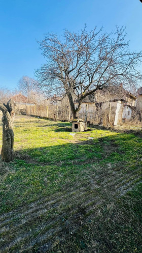 Casa Valtchedram, região Montana 12