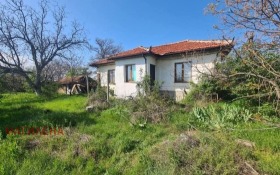 ����� ������� ����,�. �������, ������ �������