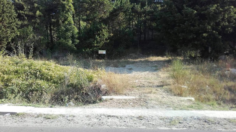 For Sale  Plot region Burgas , Sveti Vlas , 5230 sq.m | 41420872 - image [4]