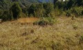 Продава ПАРЦЕЛ, област Ловеч, с. Рибарица • 22520 € • 79404949 — Holmes.bg