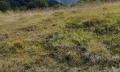 Продава ПАРЦЕЛ, област Ловеч, с. Рибарица • 22520 € • 79404949 — Holmes.bg