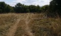 Продава ПАРЦЕЛ, област Ловеч, с. Рибарица • 22520 € • 79404949 — Holmes.bg
