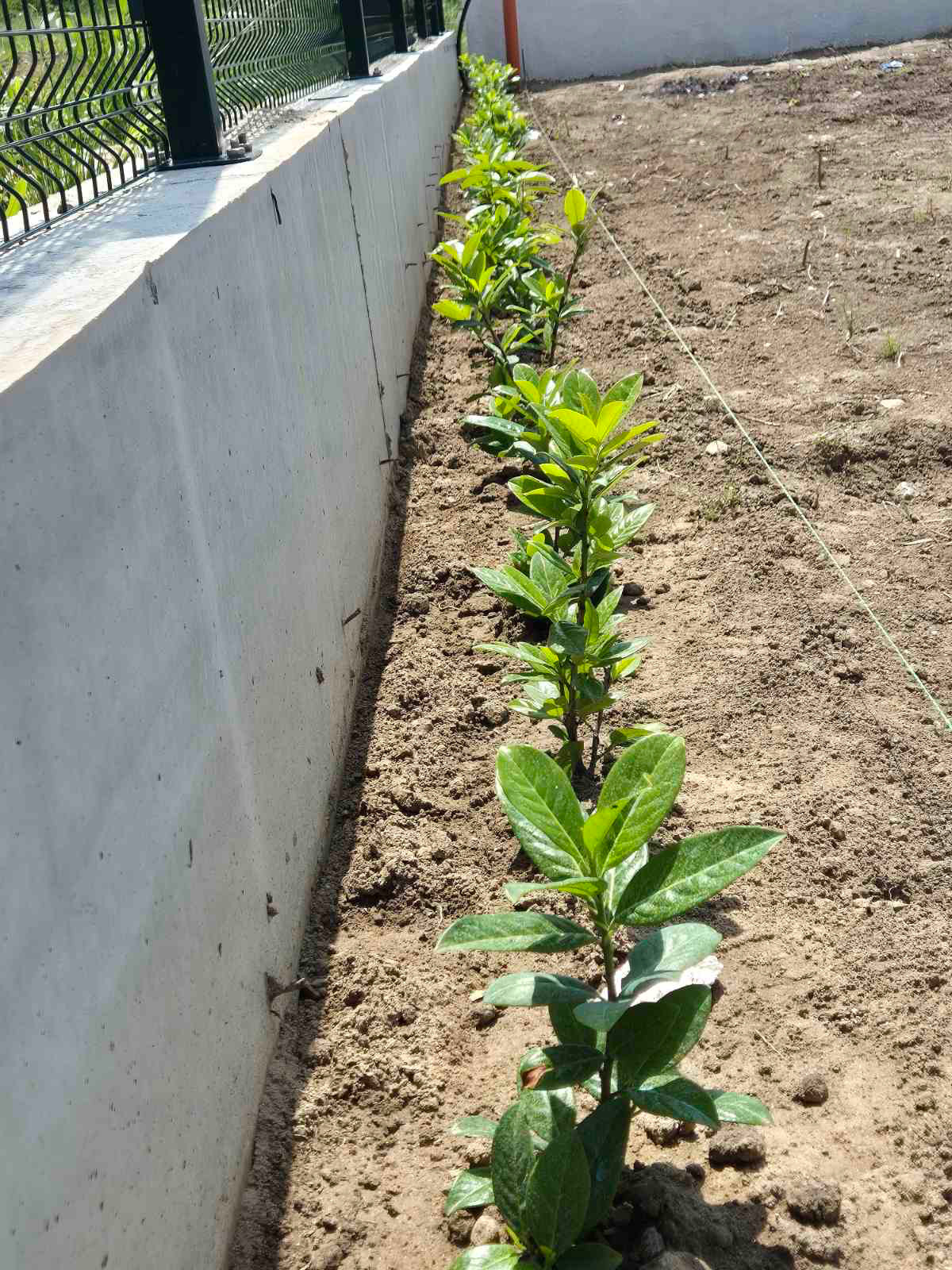 ������� ���� | Imot.bg � ����������� 7