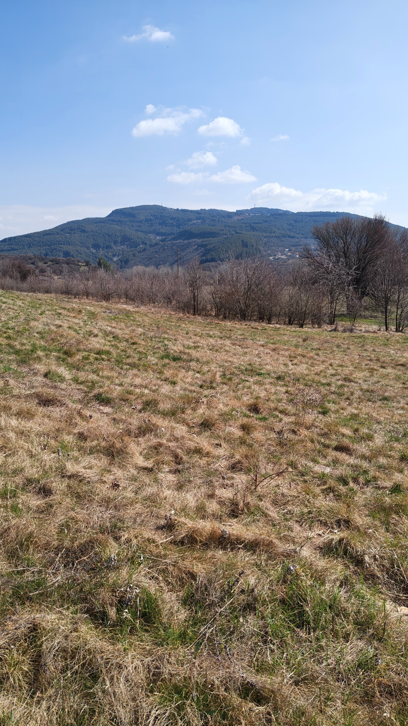 ������� ������ | Imot.bg � ����������� 12