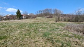 ����� ������� ������,�. ��������, ������ ������