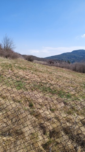 ����� ������� ������,�. ��������, ������ ������