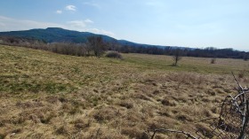 ����� ������� ������,�. ��������, ������ ������>