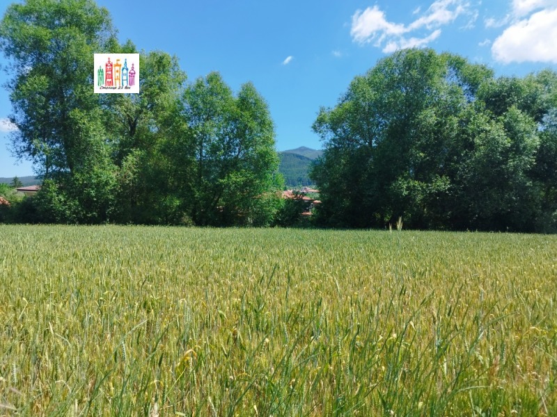 Продаја  Плот регион Перник , Кладница , 3000 м2 | 12317511 - слика [12]