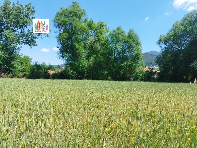 Продаја  Плот регион Перник , Кладница , 3000 м2 | 12317511 - слика [13]