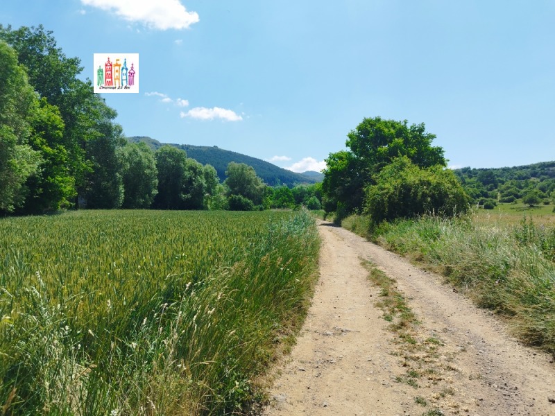 Продаја  Плот регион Перник , Кладница , 3000 м2 | 12317511 - слика [9]