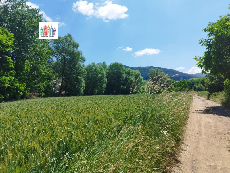 Продаја  Плот регион Перник , Кладница , 3000 м2 | 12317511 - слика [7]
