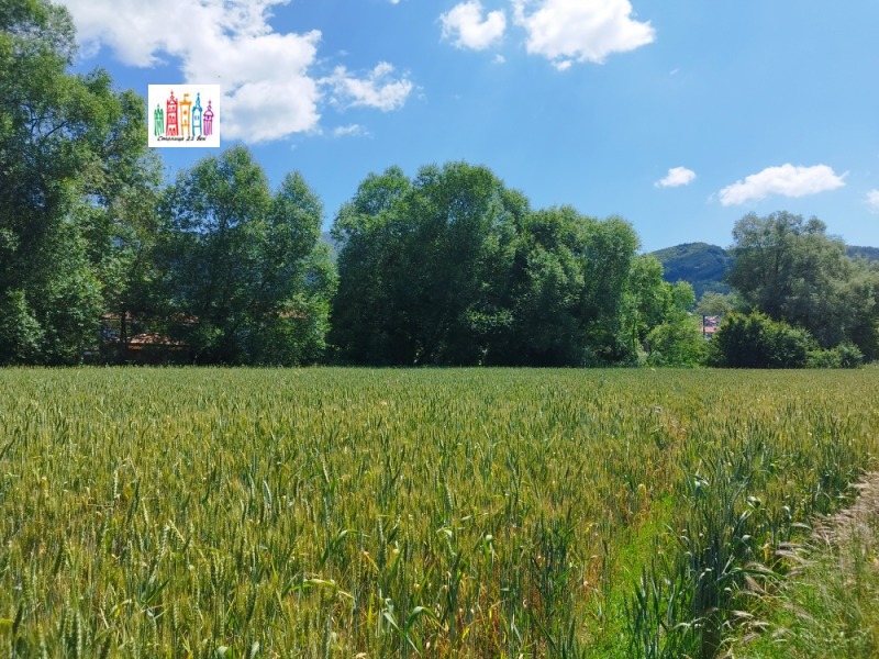 Продаја  Плот регион Перник , Кладница , 3000 м2 | 12317511 - слика [6]