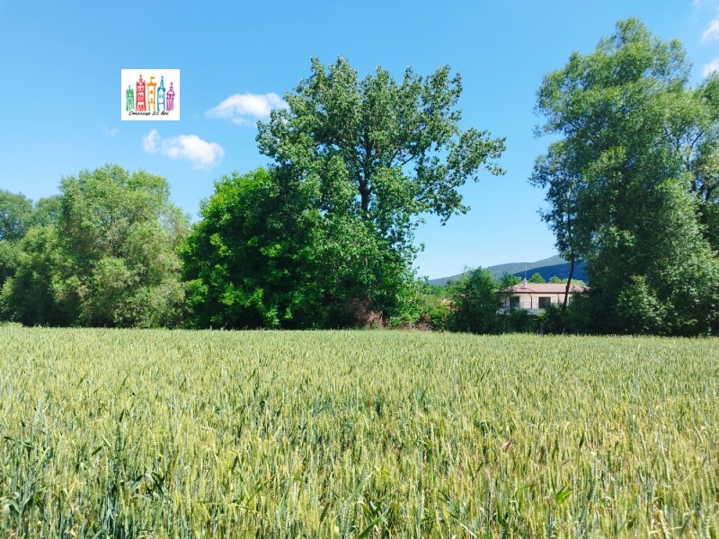 Продаја  Плот регион Перник , Кладница , 3000 м2 | 12317511