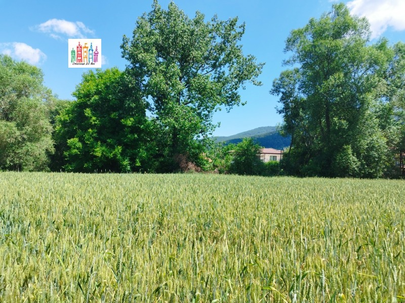 Продаја  Плот регион Перник , Кладница , 3000 м2 | 12317511 - слика [4]