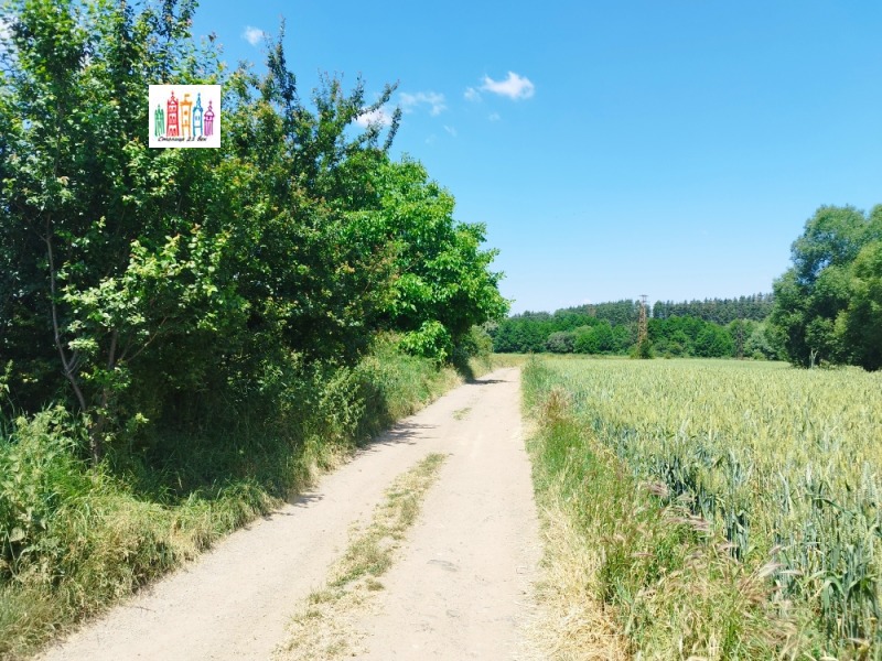 Продаја  Плот регион Перник , Кладница , 3000 м2 | 12317511 - слика [3]
