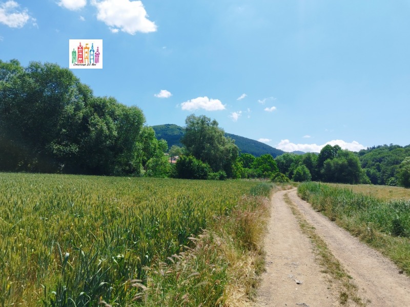 Продаја  Плот регион Перник , Кладница , 3000 м2 | 12317511 - слика [5]