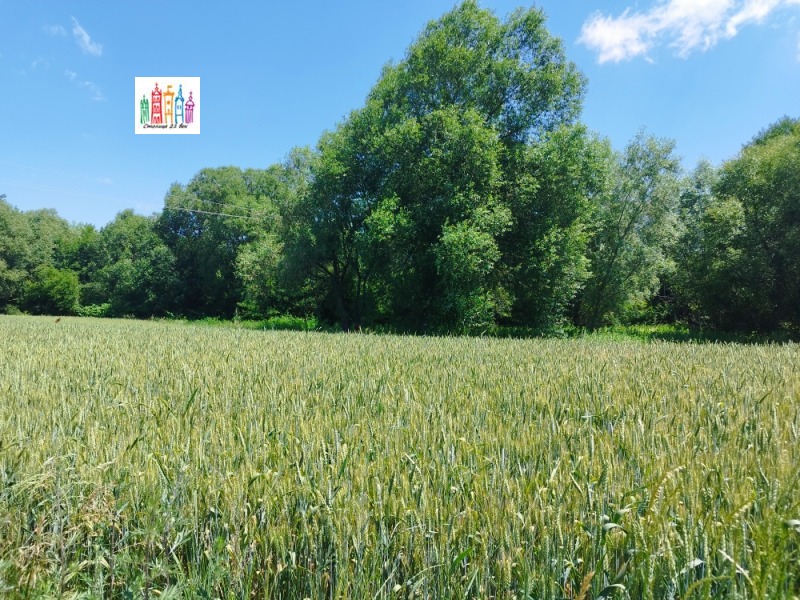 Продаја  Плот регион Перник , Кладница , 3000 м2 | 12317511 - слика [11]