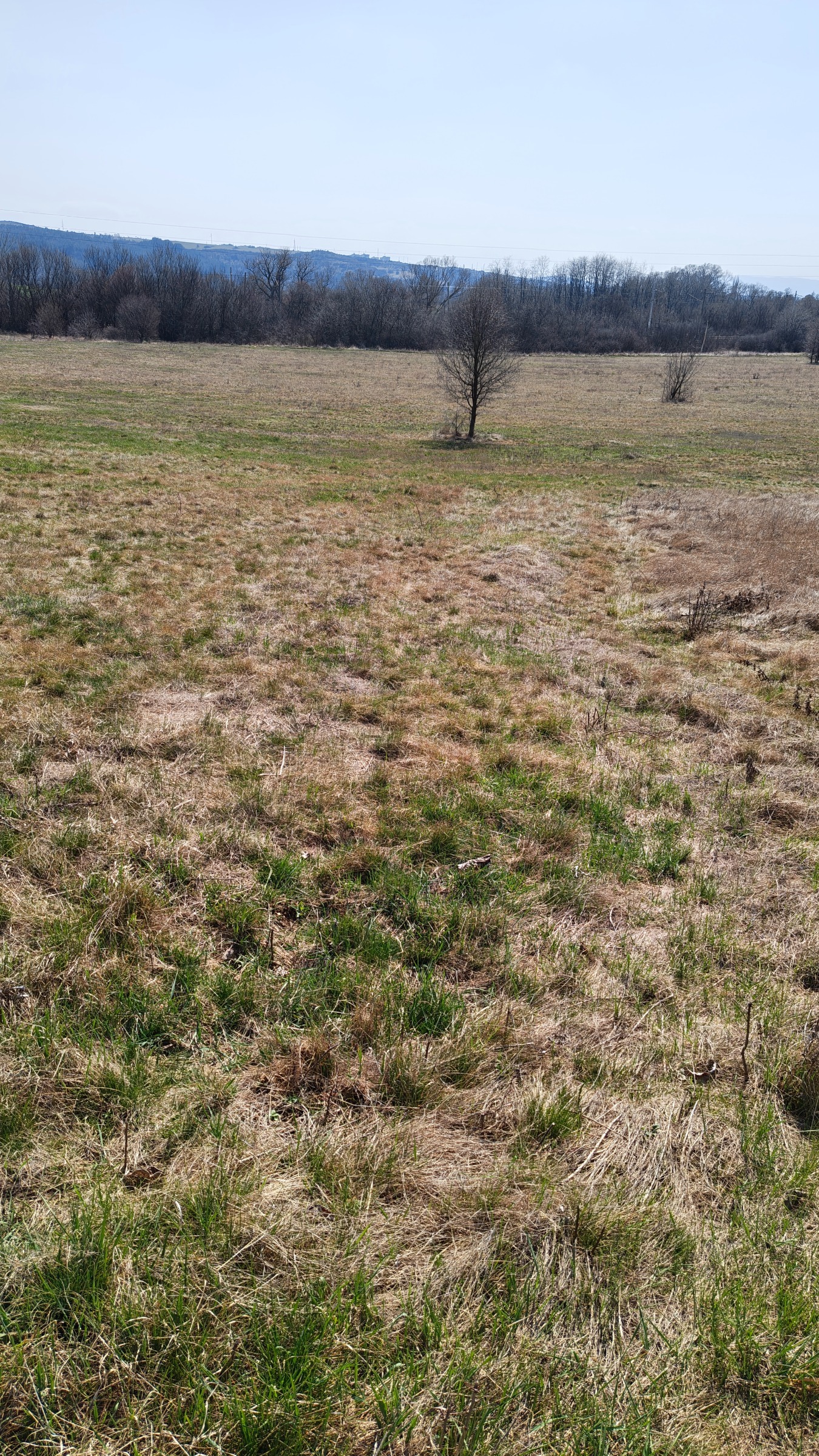 Продава ПАРЦЕЛ, с. Копаница, област Перник, снимка 10 - Парцели - 53871453